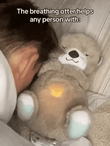Breathing Teddy Bear